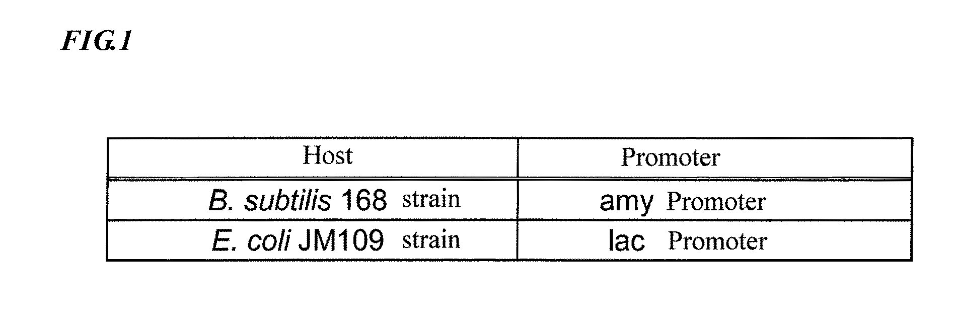 Recombinant expression plasmid vector and recombinant strain to be used in producing oxalate decarboxylase, and method of producing recombinant oxalate decarboxylase