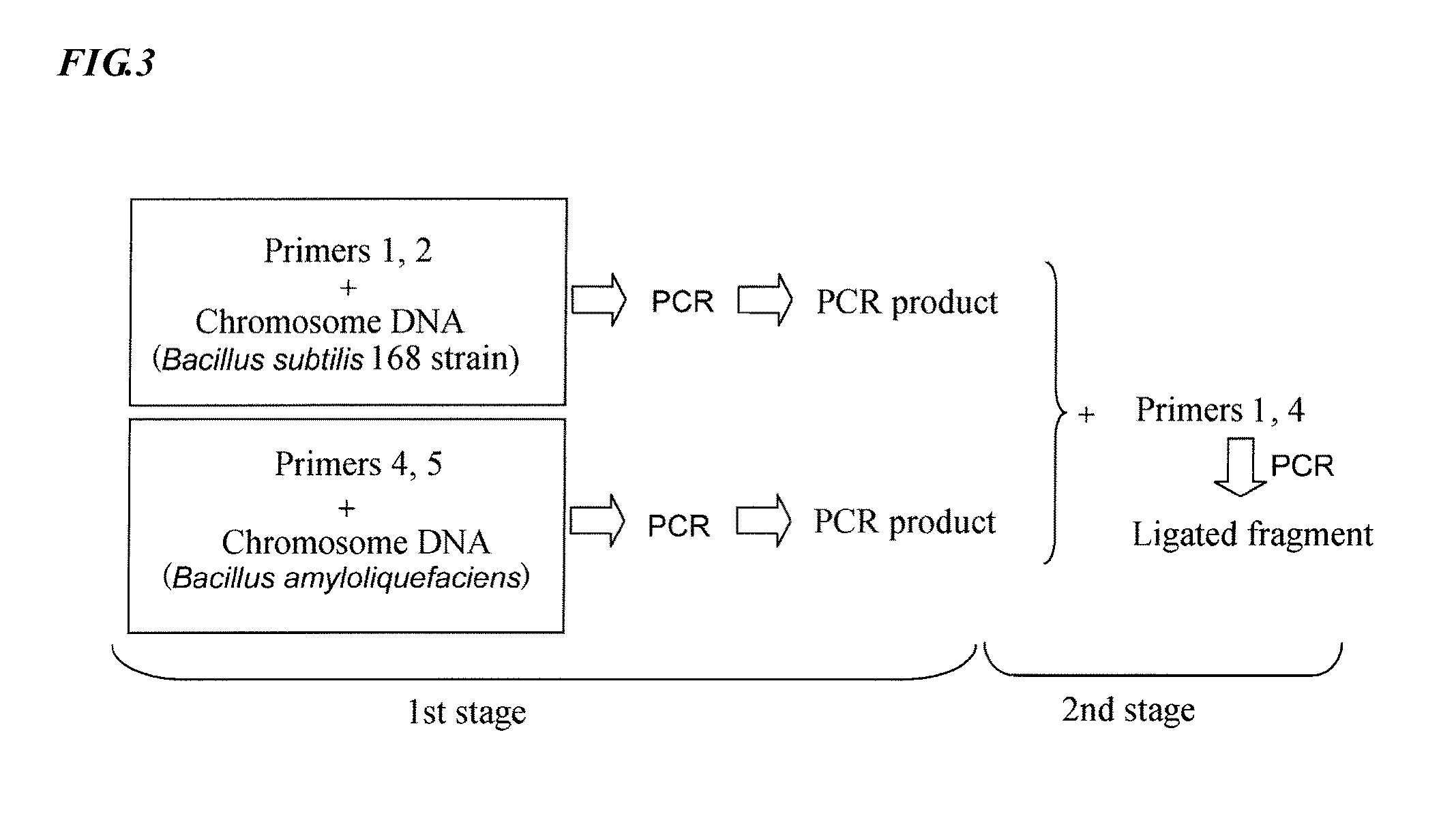 Recombinant expression plasmid vector and recombinant strain to be used in producing oxalate decarboxylase, and method of producing recombinant oxalate decarboxylase