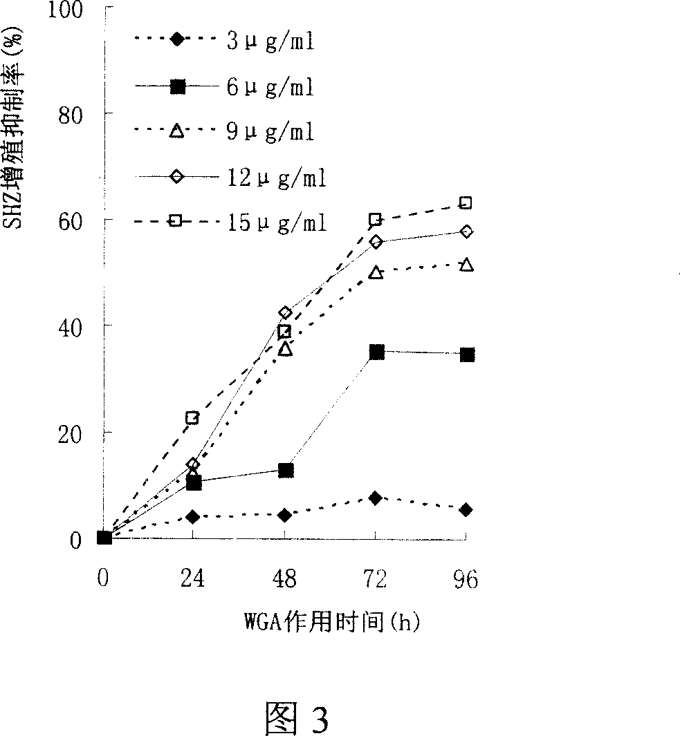 Preparation method of wheat germ agglutinin and its application in inhibiting mammary gland cancer activity