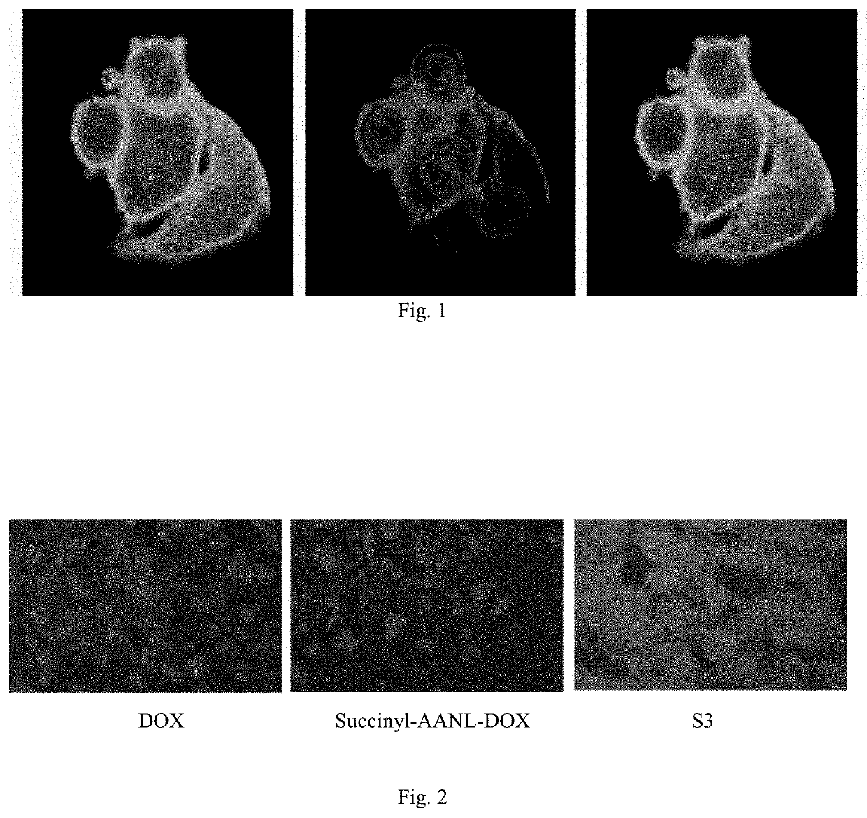 Preparation and use of molecular site targeted and activated kinase inhibitor