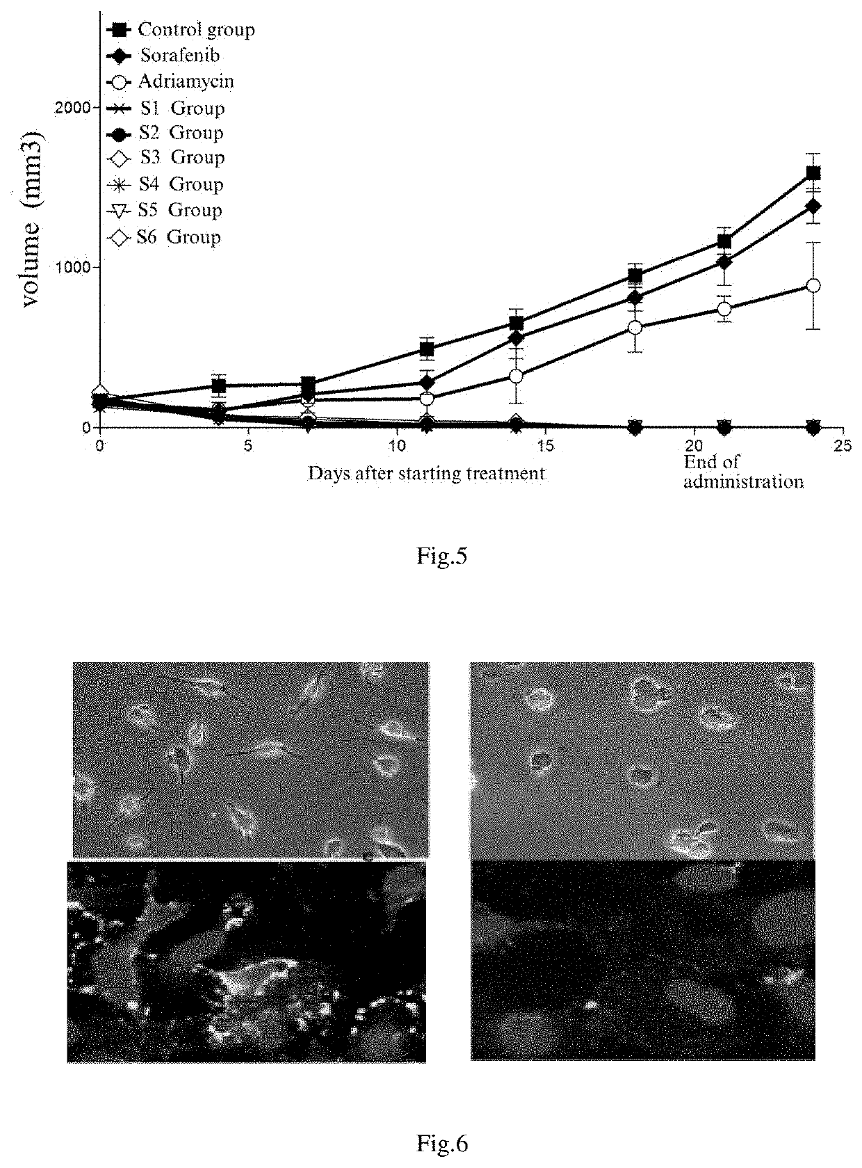 Preparation and use of molecular site targeted and activated kinase inhibitor