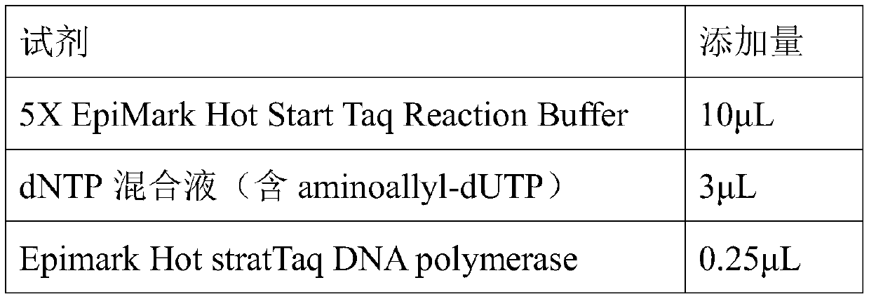 A kind of preparation method of the fish probe of top2a gene