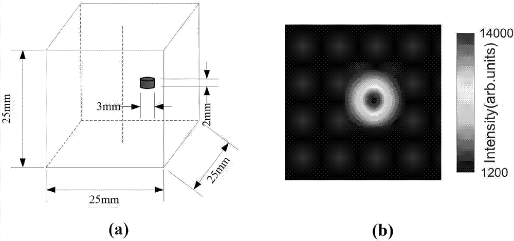 Single-view Cerenkov luminescence tomography reconstruction method