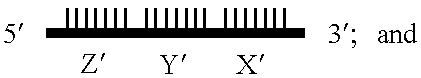 Gene amplifying method