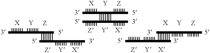 Gene amplifying method