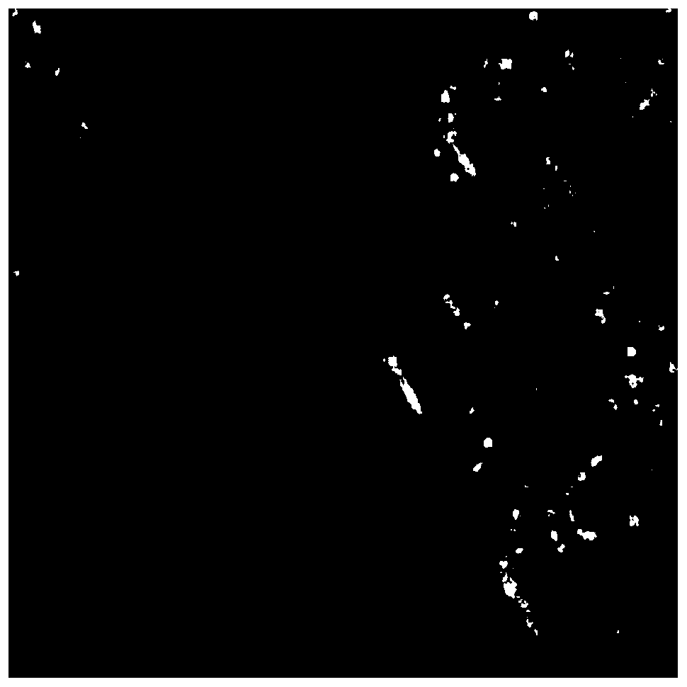 Full-polarization SAR image speckle suppression method