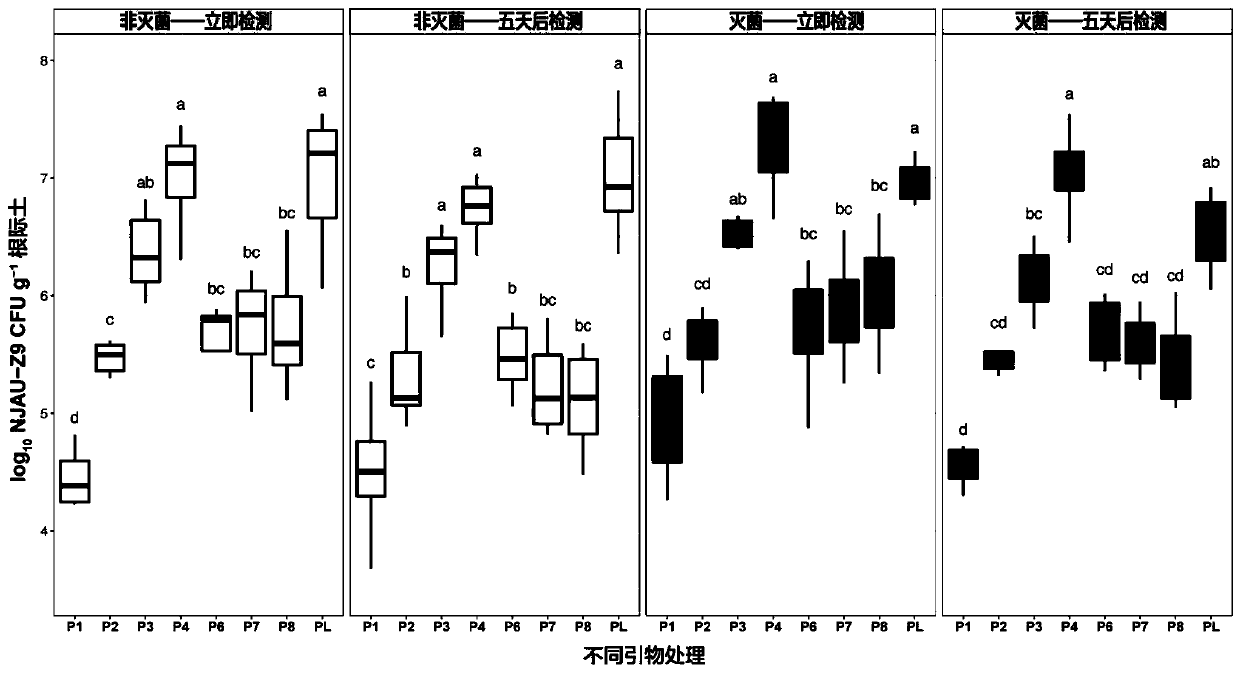 Species-specific Quantitative PCR Primers and Its Design Method for Methylotrophic Bacillus