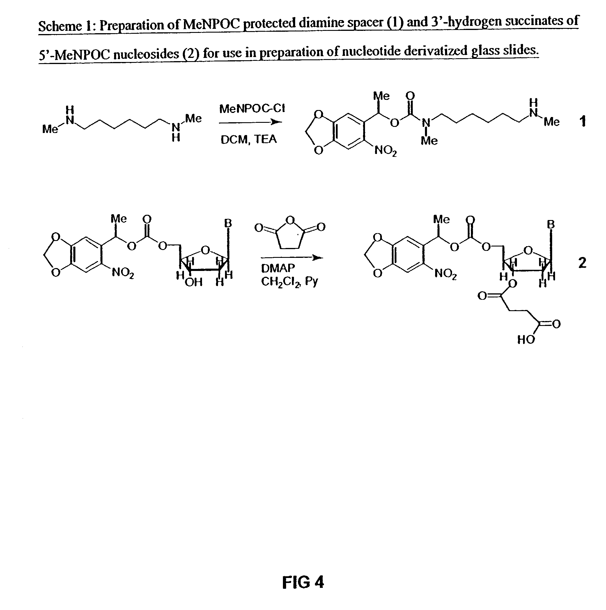 Method for the synthesis of DNA sequences