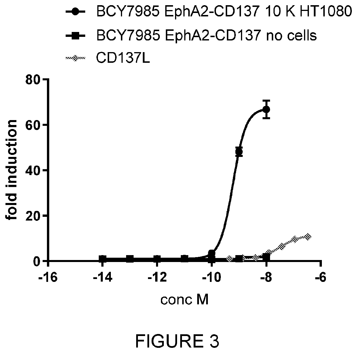 Heterotandem bicyclic peptide complexes