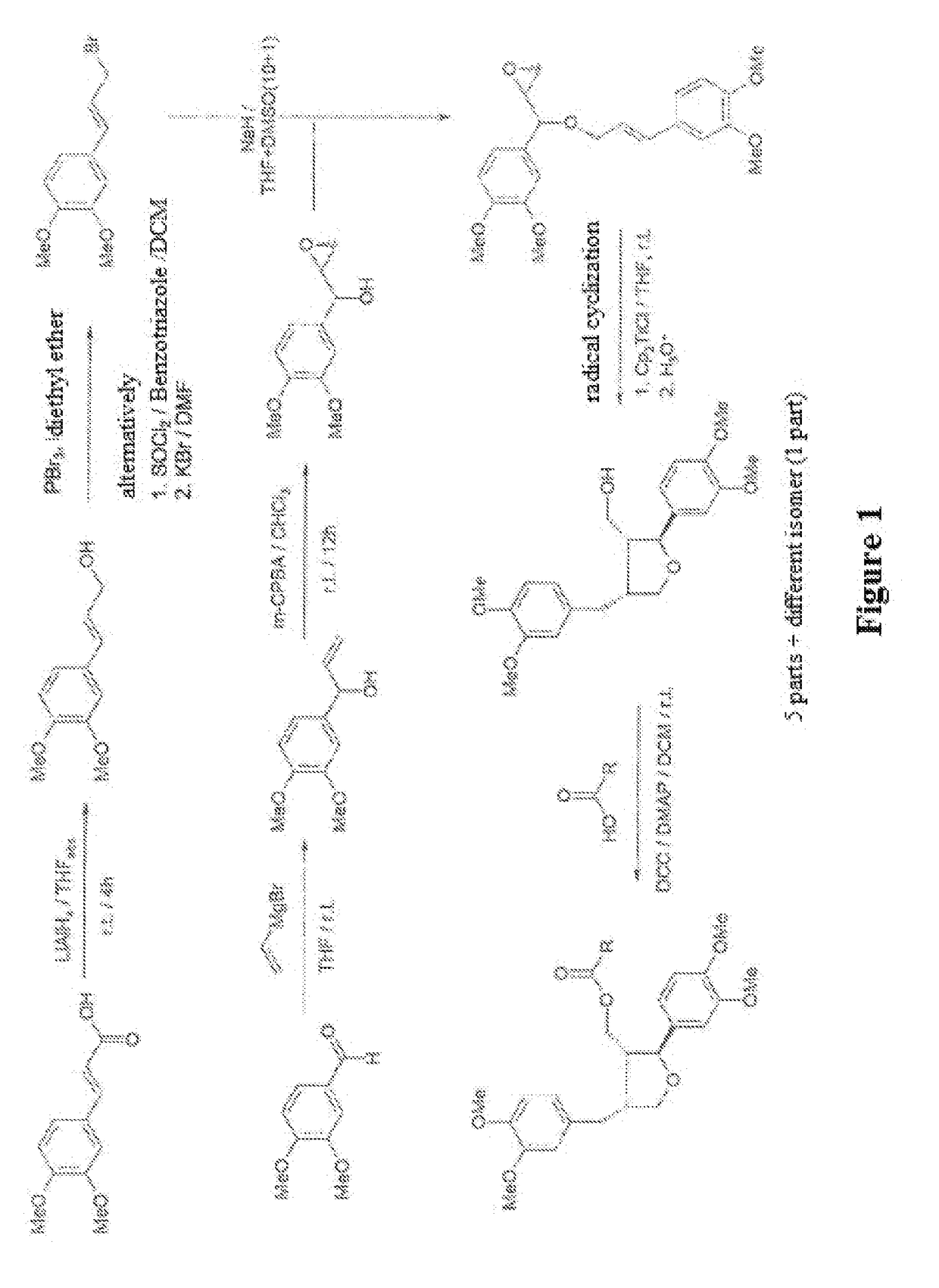 Leoligin derivatives as smooth muscle cell proliferation inhibitors