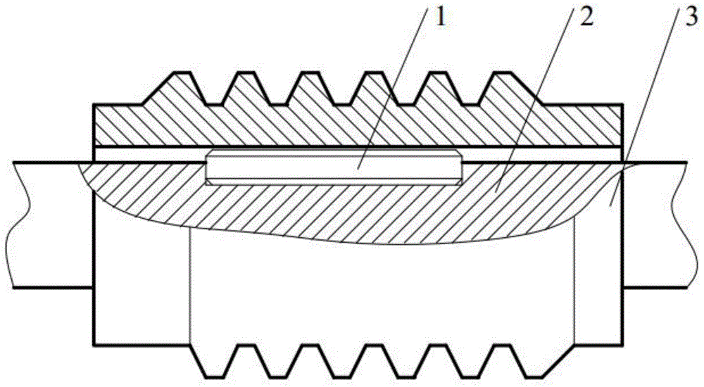 Ultrasonic-assisted radial gear rolling forming device