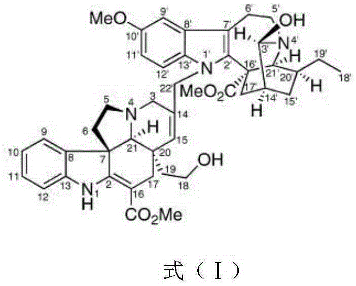 Application of biscarpamontamine A in preparation of rhinitis pharmaceuticals