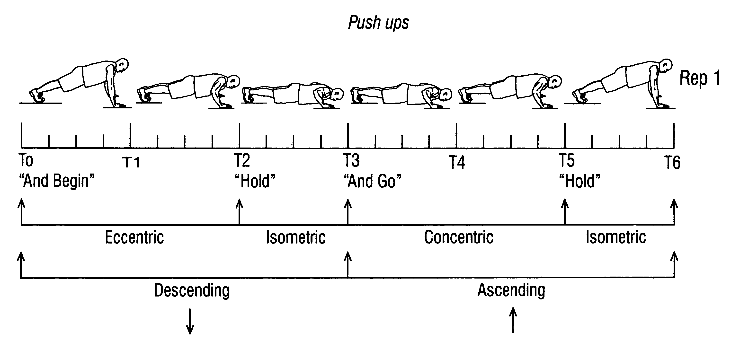 Method and apparatus for pacing human body exercises using audible cues
