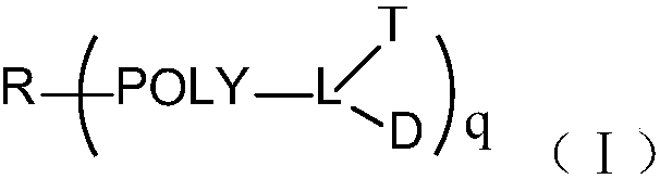 Multi-arm targeted anti-cancer conjugate