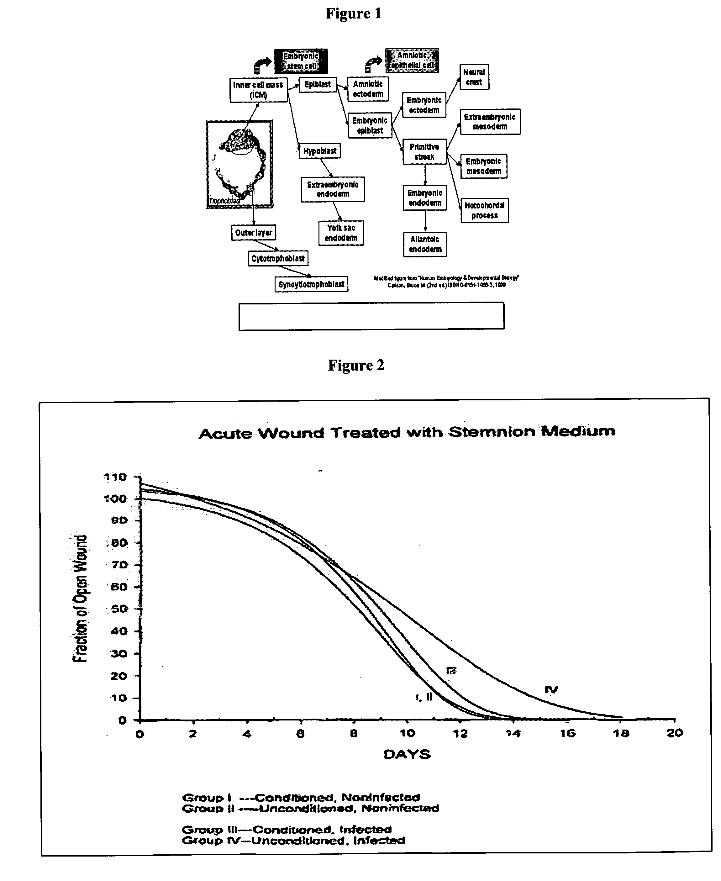 Amnion-derived cell compositions, methods of making and uses thereof