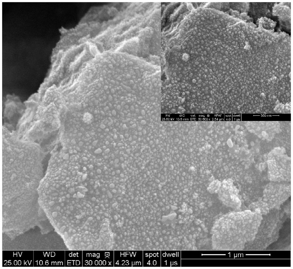 Mixed metal nano magnetic ozone catalyst for degrading antibiotic wastewater and application