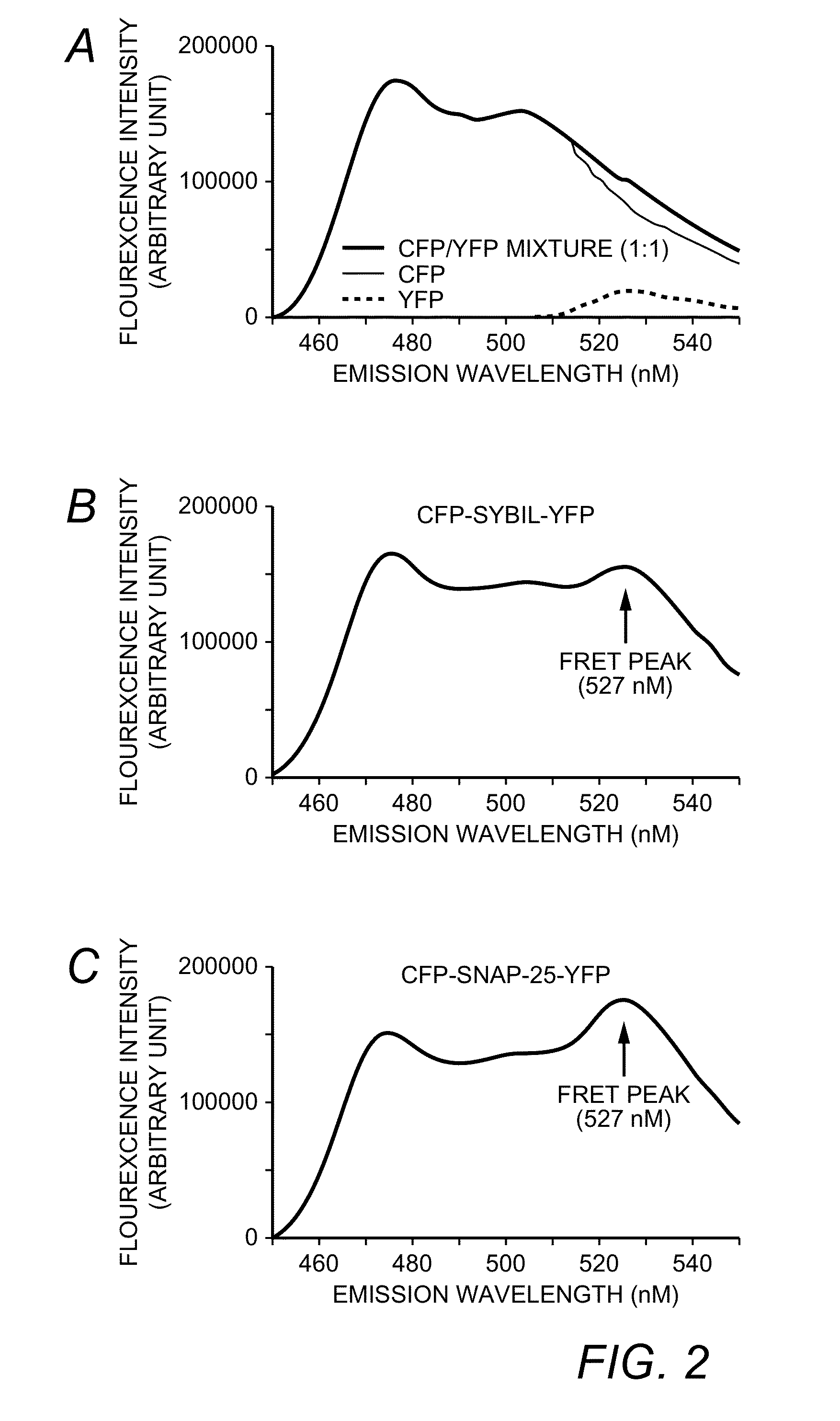Resonance Energy Transfer Assay with Cleavage Sequence and Spacer