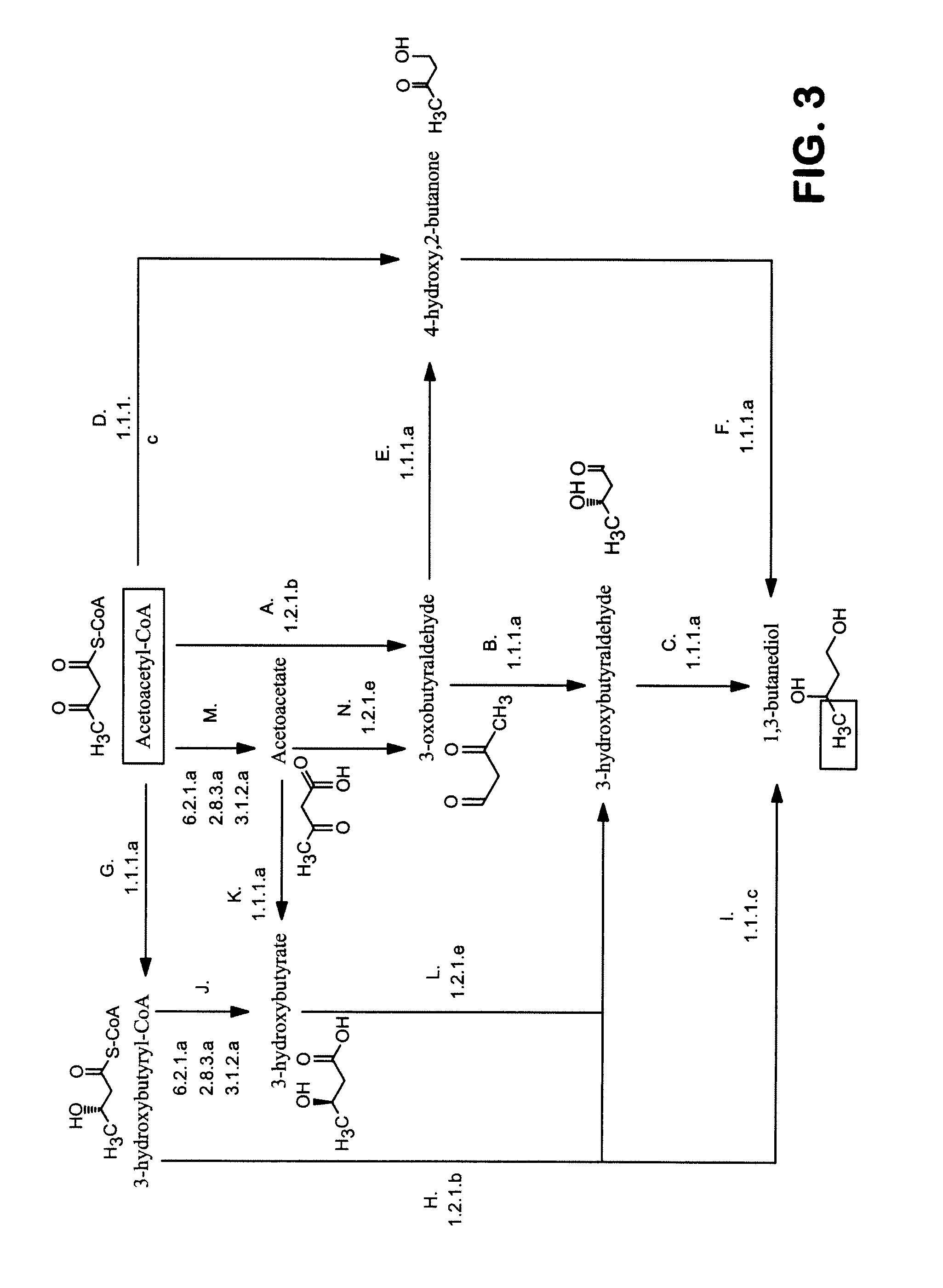 Methods and organisms for converting synthesis gas or other gaseous carbon sources and methanol to 1,3-butanediol