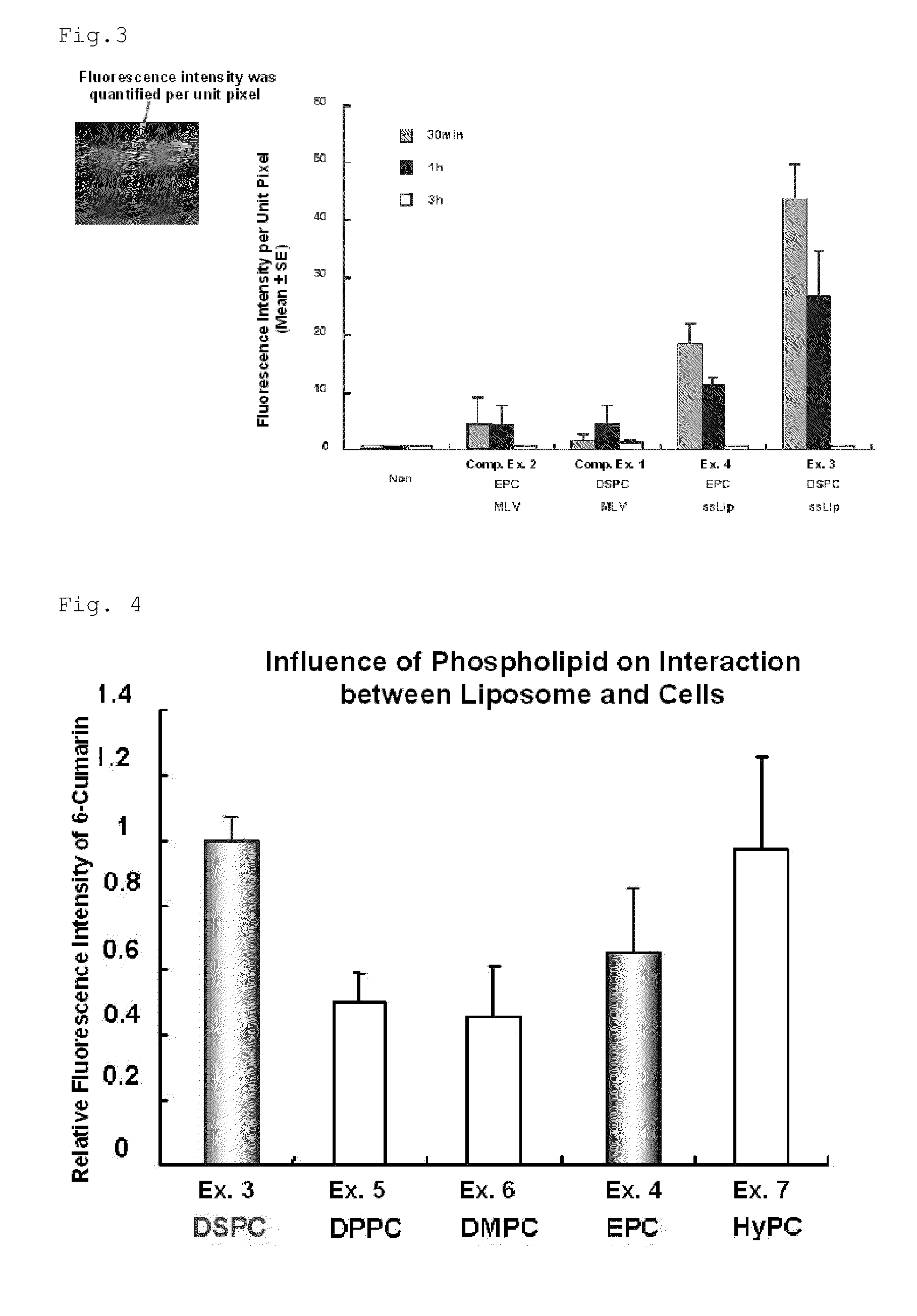 Liposome for delivery to posterior segment of eye and pharmaceutical composition for disease in posterior segment of eye