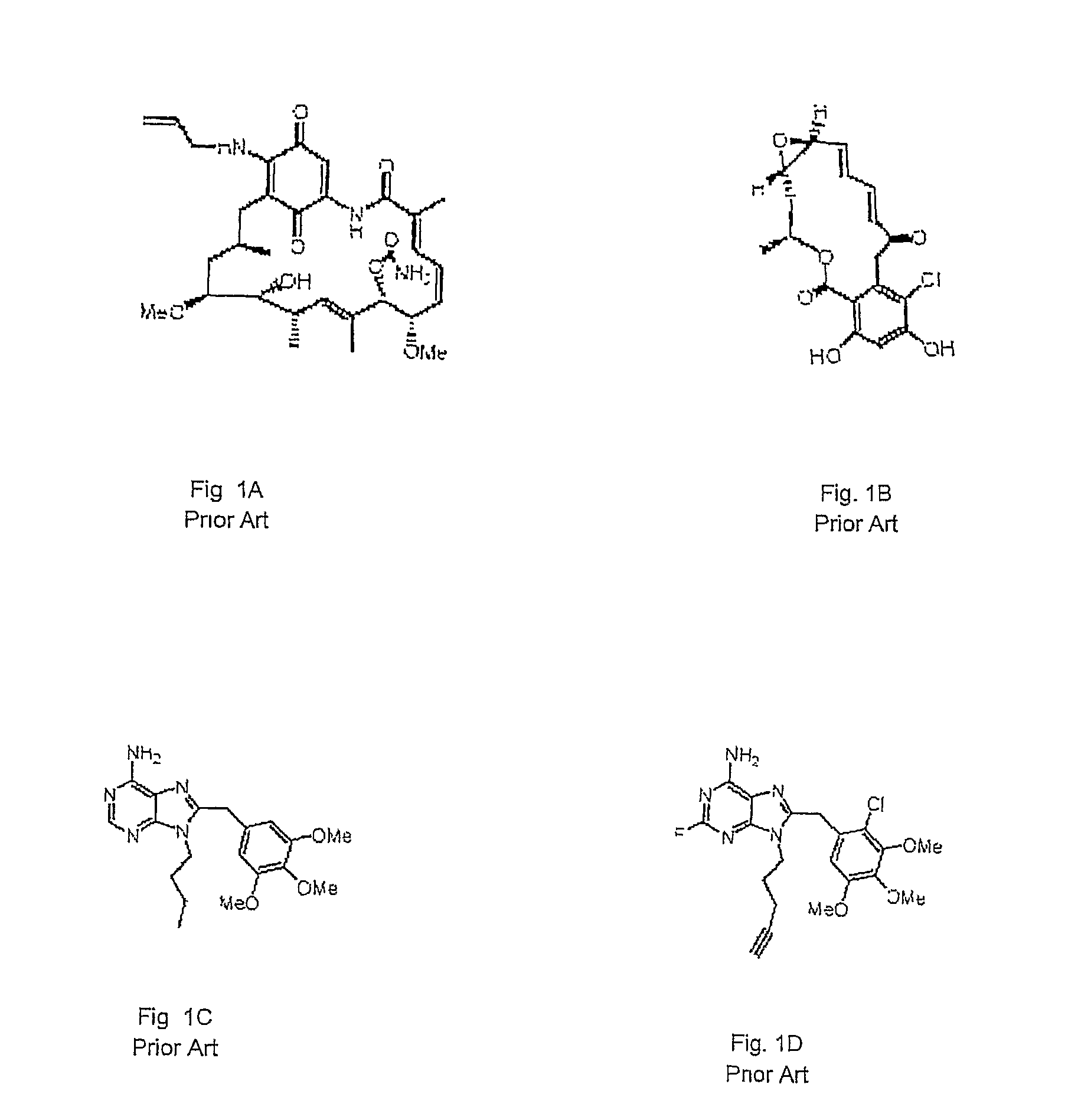 Small-Molecule Hsp90 Inhibitors
