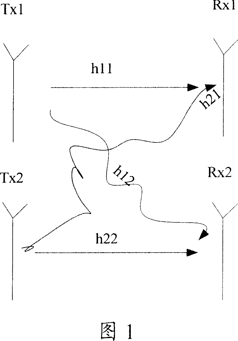 Signal precoding method