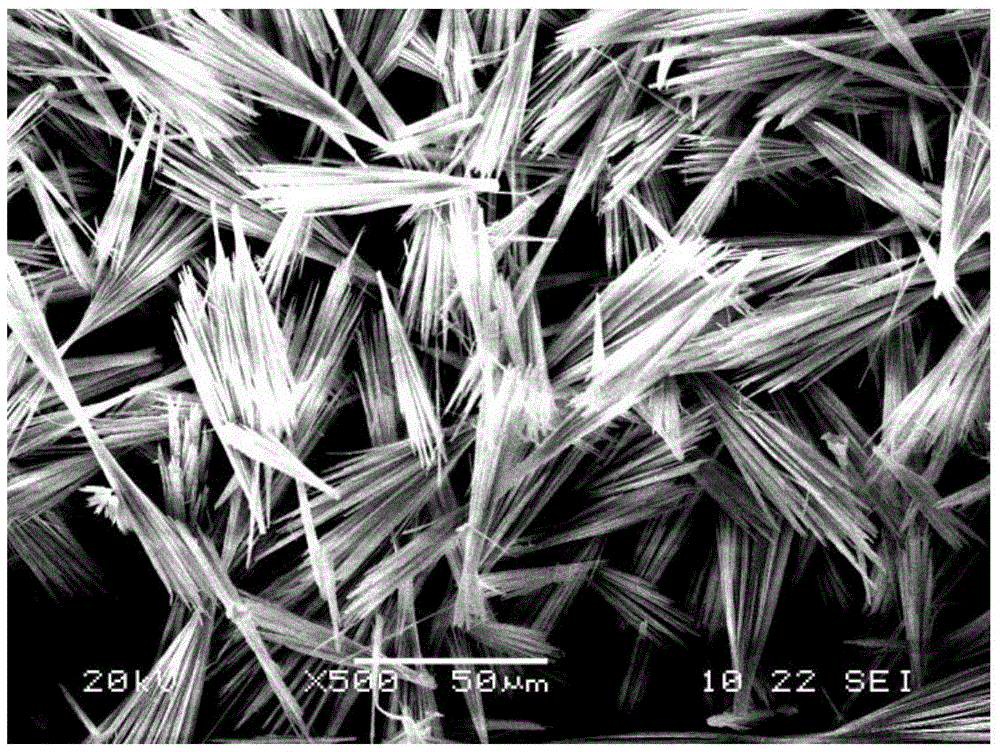 A kind of preparation method of fibrous basic magnesium sulfate whisker
