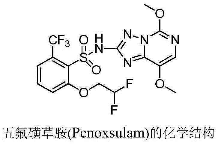 2-phenoxyl tetrahydrofuran (tetrahydropyrane) derivatives and application thereof in synthesis of penoxsulam