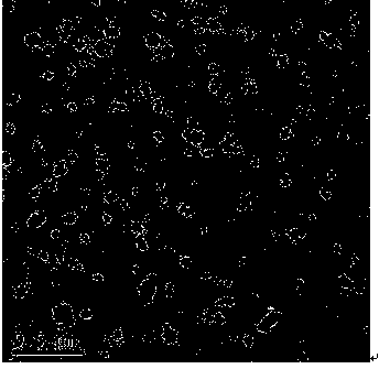 Microwave and ultrasound combined assisted ball-milling device and process for preparing high-performance nanopowder