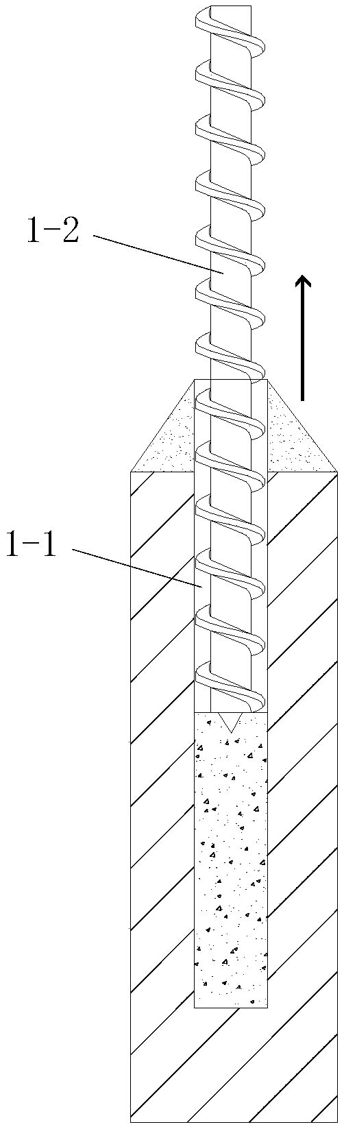 Pile cap former, pile head treatment and pile cap construction method