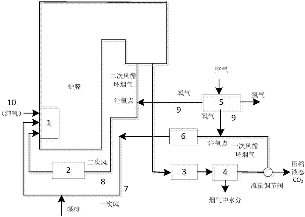 Method and system thereof for oxygen-enriched flameless combustion of coal powder