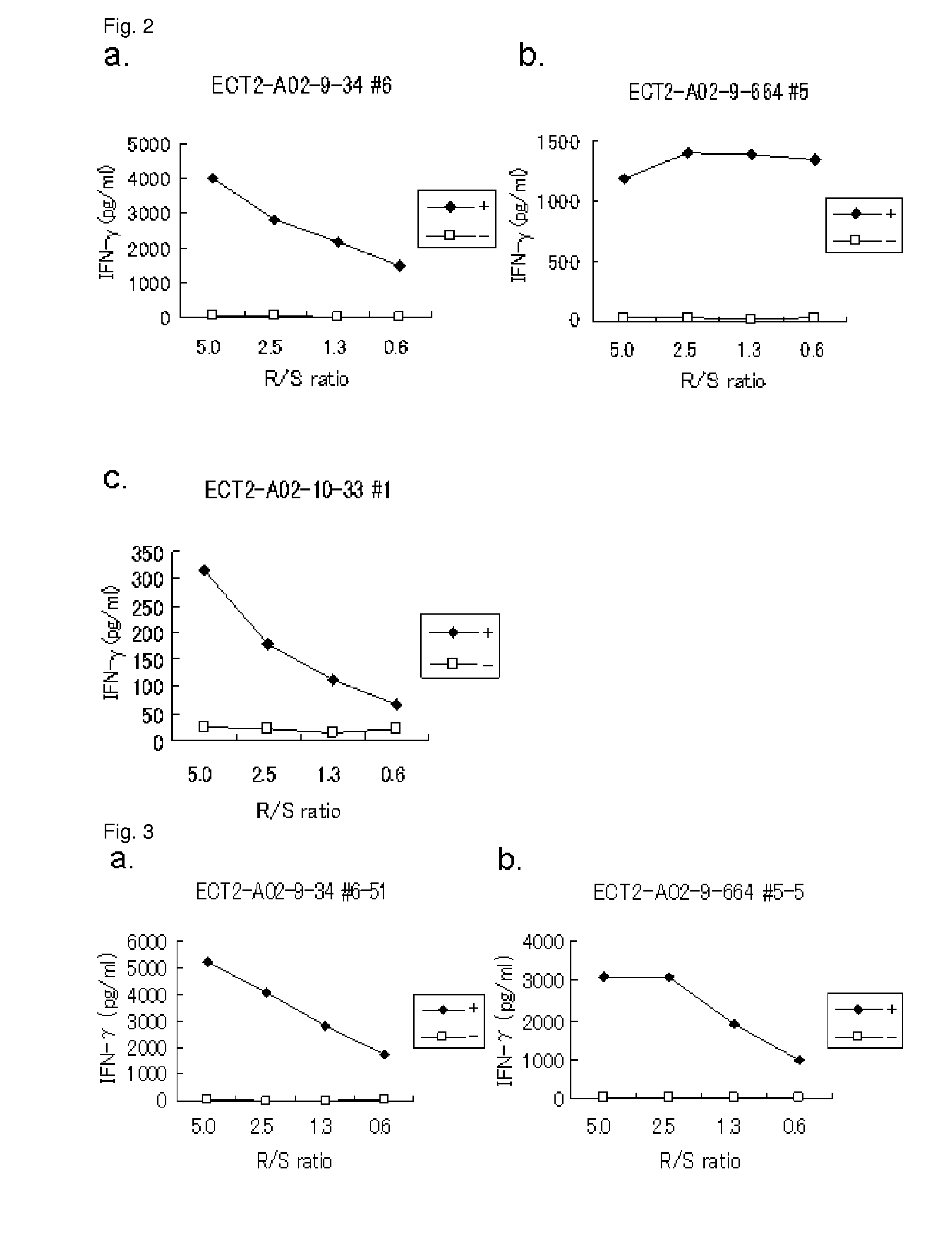 ECT2 peptides and vaccines including the same