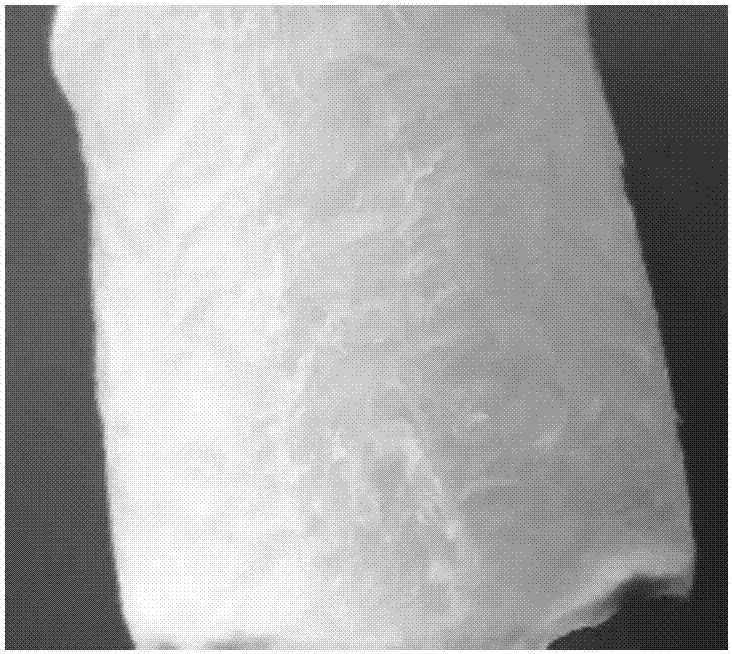 Hydroxyapatite nano peanut/gelatin self-assembled nano composite material and preparation method thereof