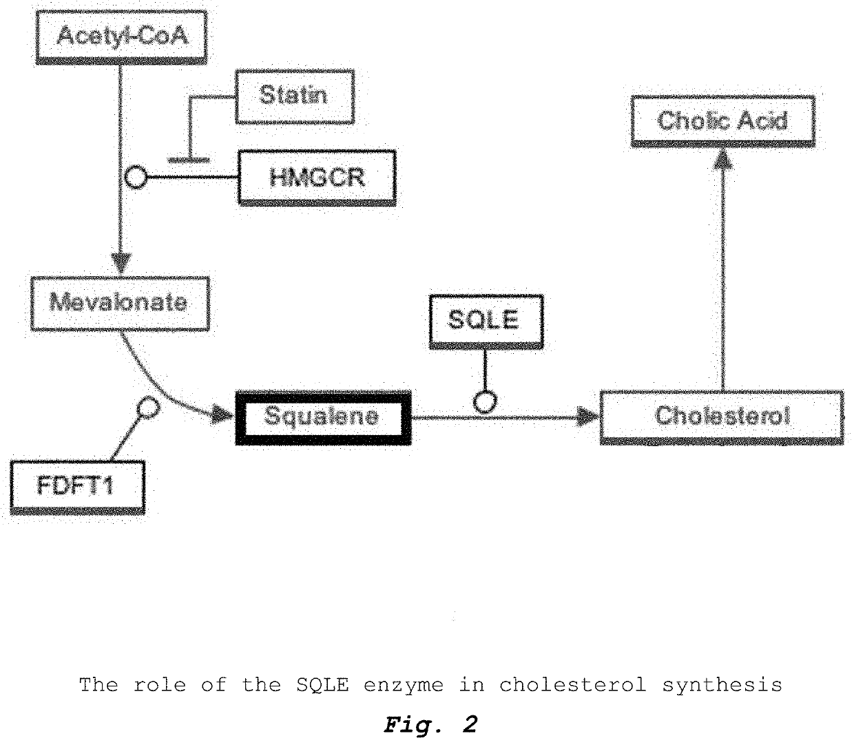 Method of dietary treatment for genetic and epigenetic diseases and disorders