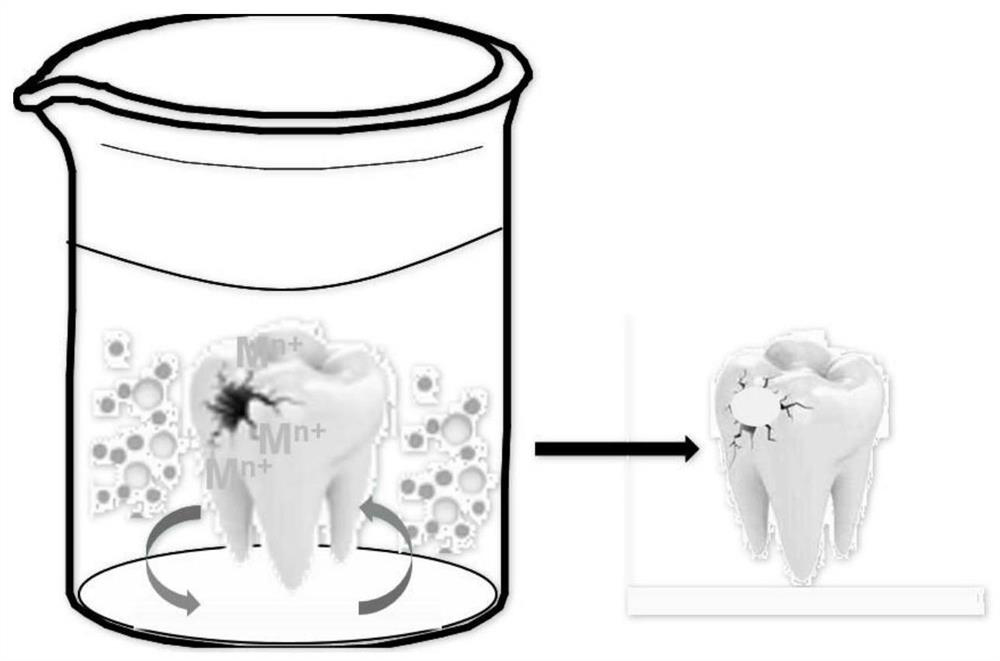 A method for repairing damaged tooth enamel by coating dense layers of metal oxides