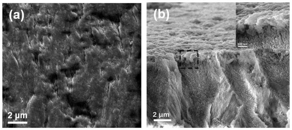 A method for repairing damaged tooth enamel by coating dense layers of metal oxides