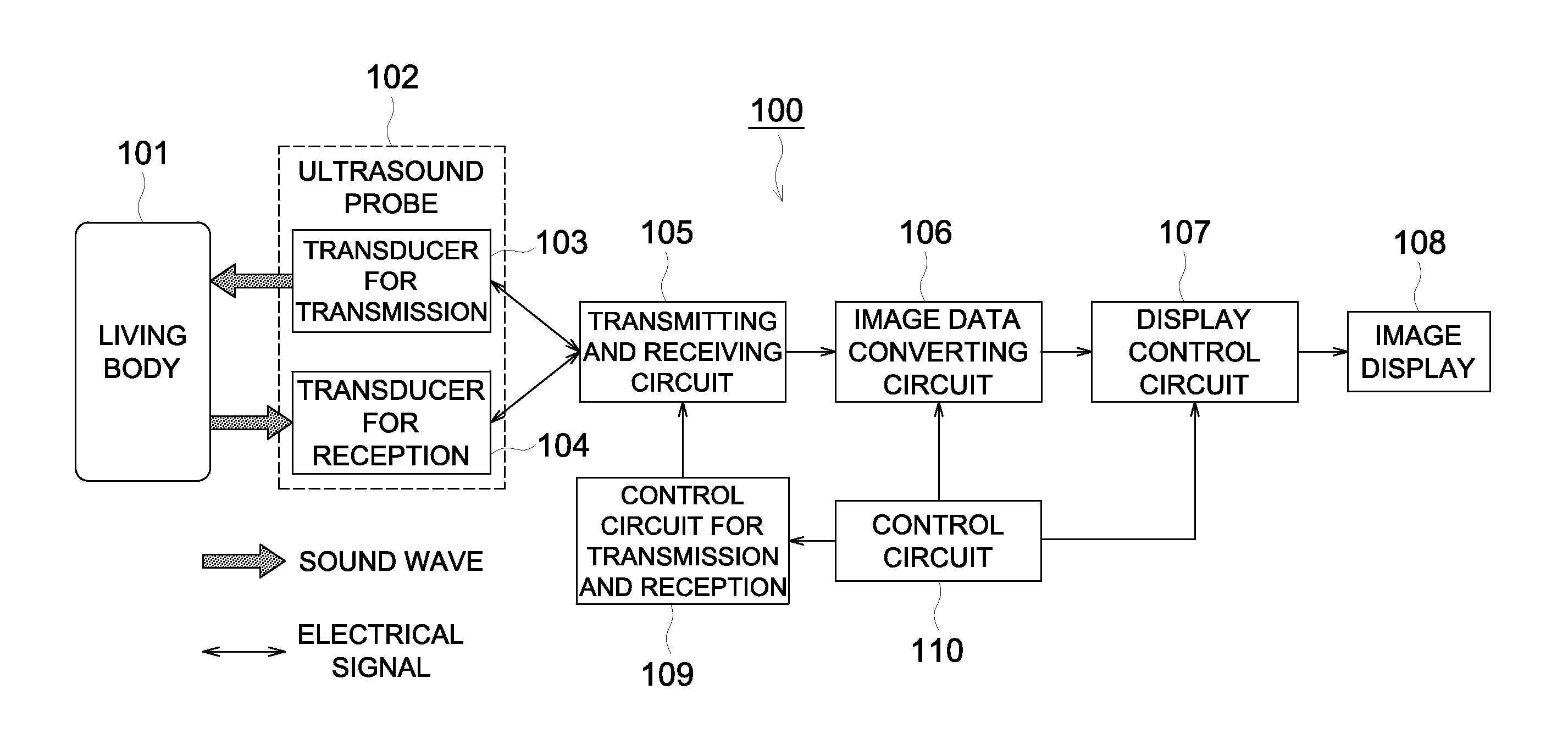 Organic piezoelectric material, ultrasound probe, and ultrasound image detector