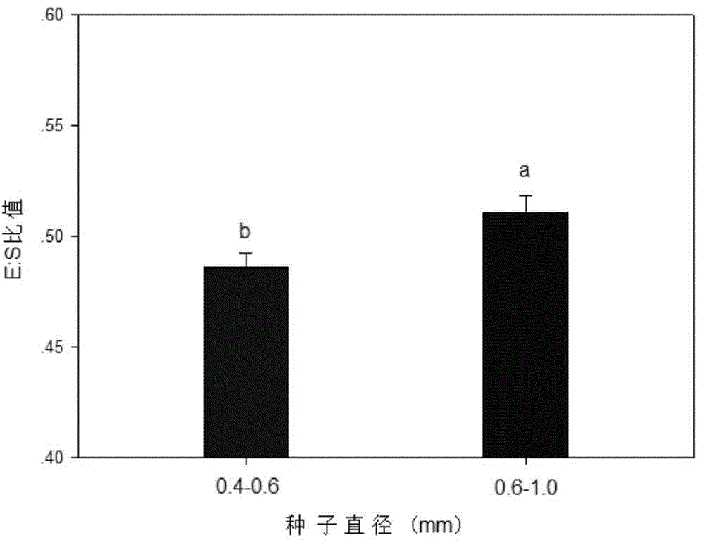 A method for screening cistanche seeds