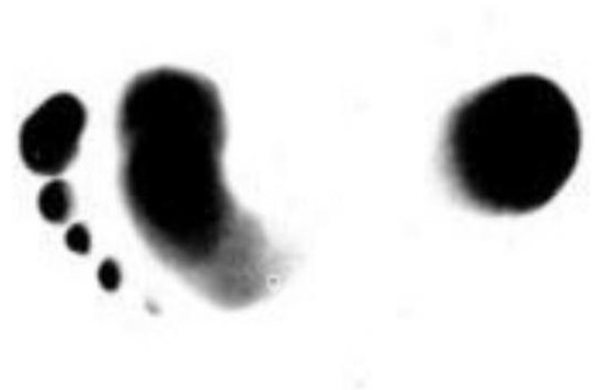 A method for mapping pressure footprint image by optical footprint image