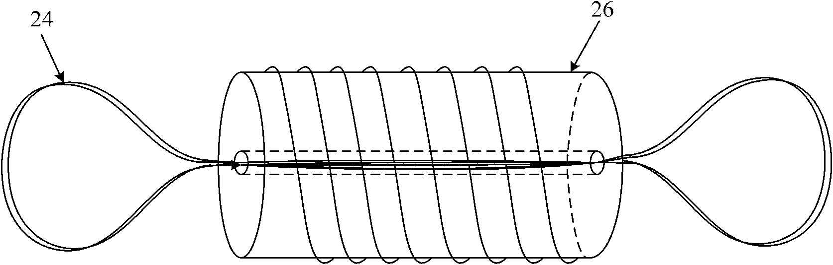 Device for processing nonlinear information of magnet adjustable optical fiber