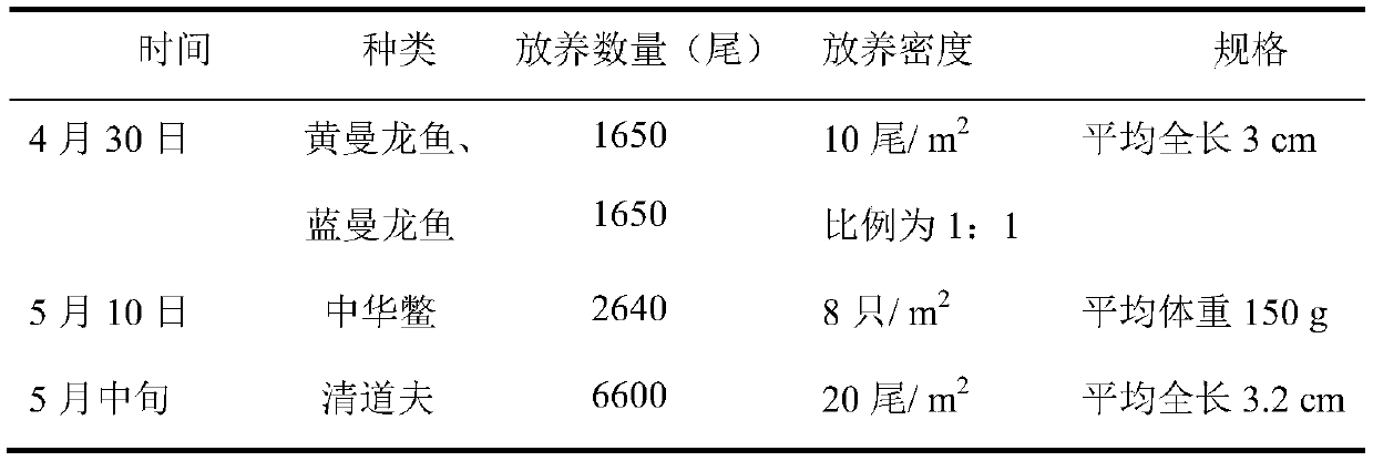 Water-saving and efficiency-enhancing methods for intensive turtle ponds to raise ornamental fish