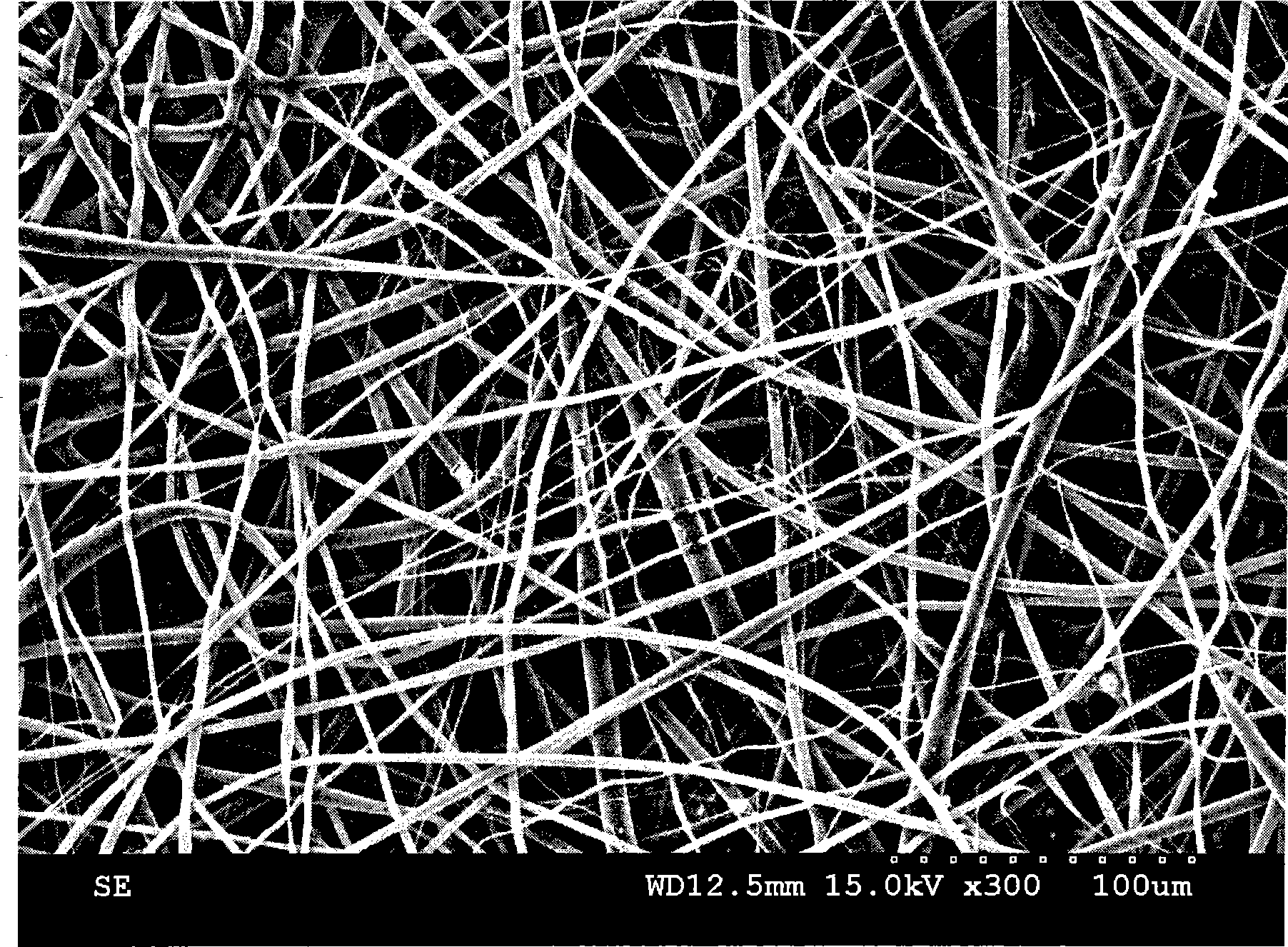 Three-dimensional large aperture tissue engineering scaffold based on nano-fibers and application thereof