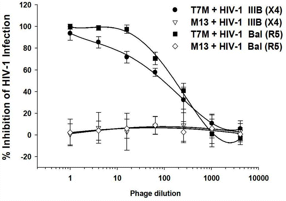 Polypeptide capable of inhibiting human immunodeficiency virus infection activity, and related bacteriophage