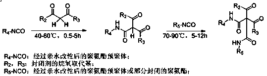 Water-based stone-crash-resistant blocked polyisocyanate curing agent as well as preparation method thereof and water-based coating