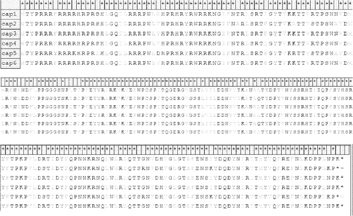 Method for efficiently preparing porcine circovirus 2 type empty capsid