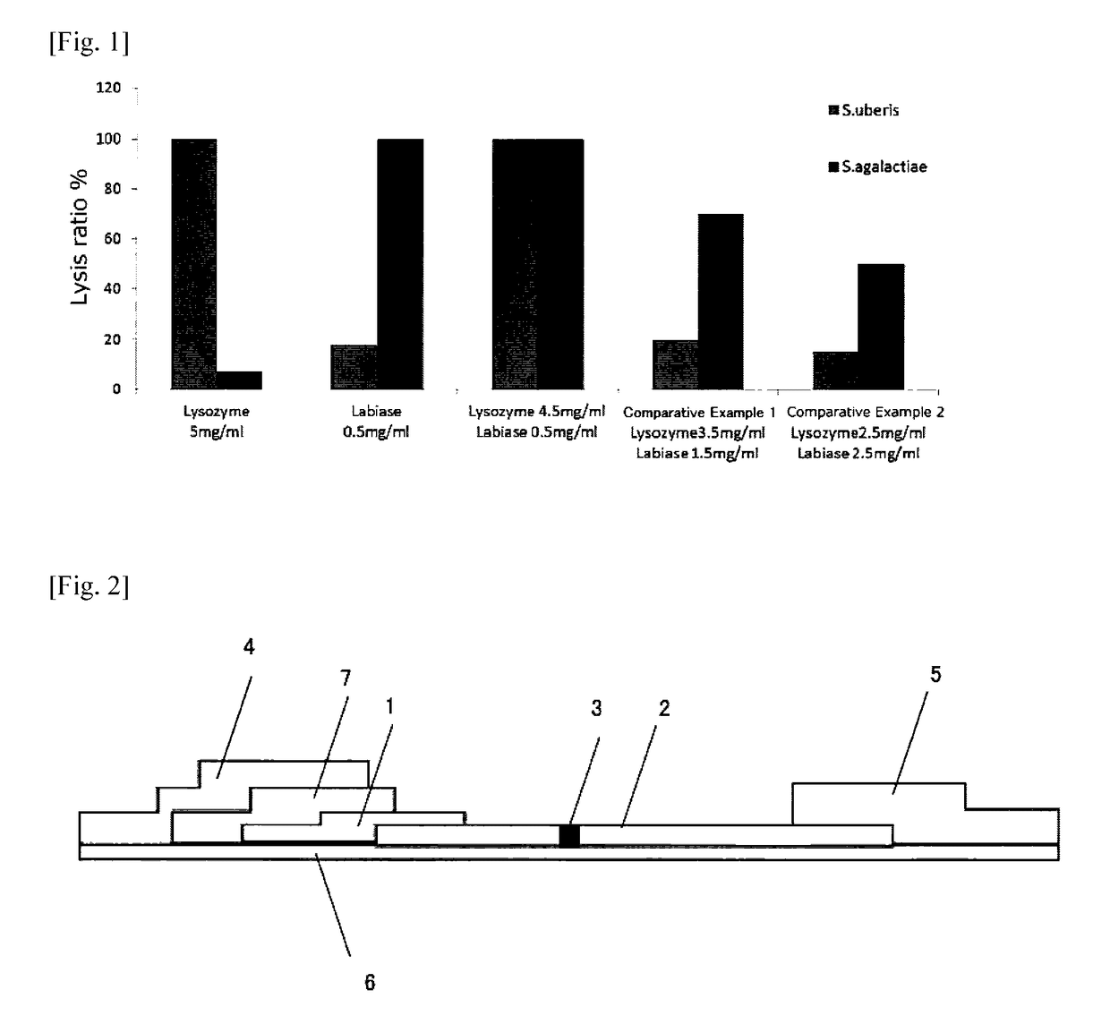 Method for detecting <i>Streptococcus </i>bacterium contained in milk