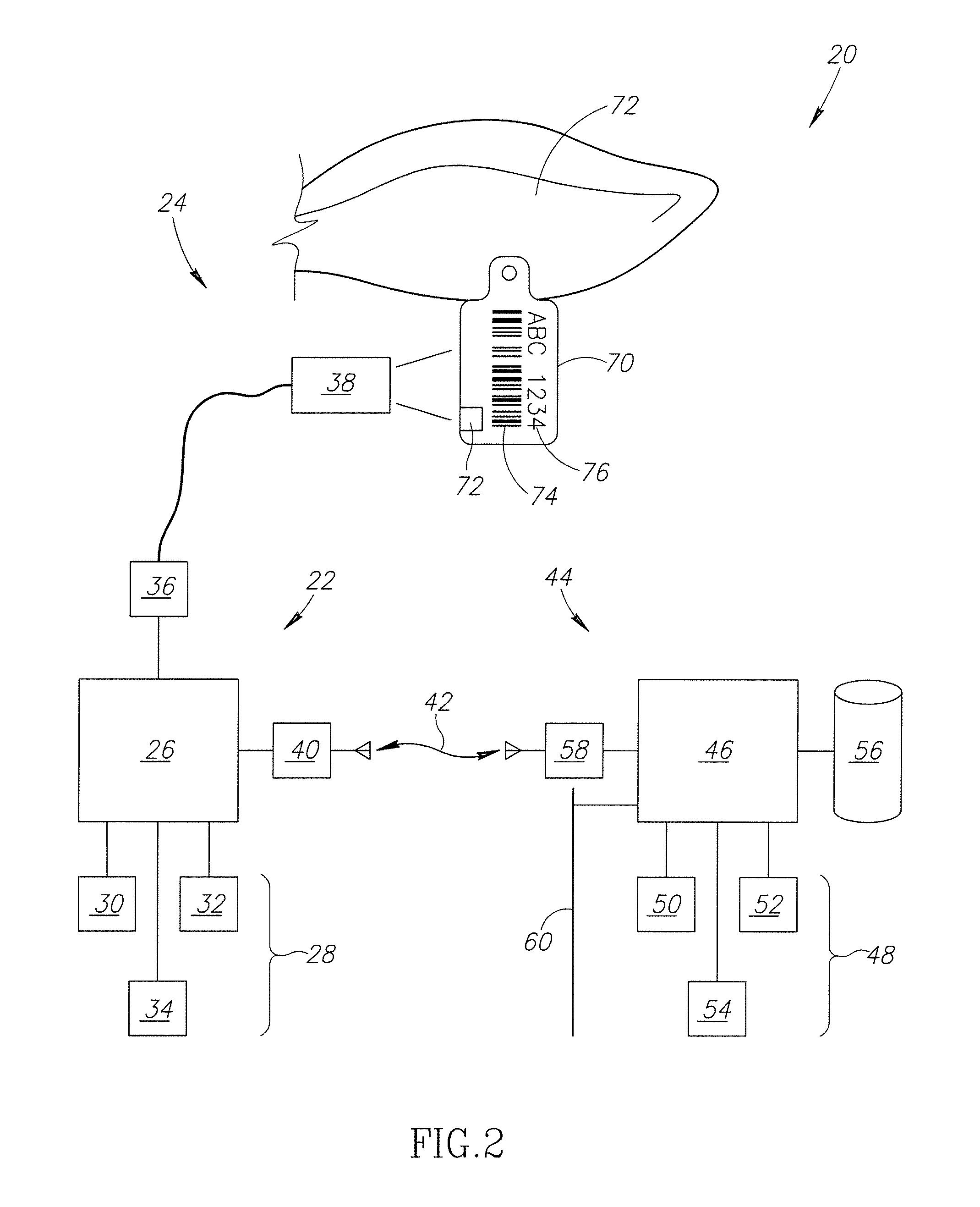 Method and system for producing beef consistently having an elevated intramuscular fat content