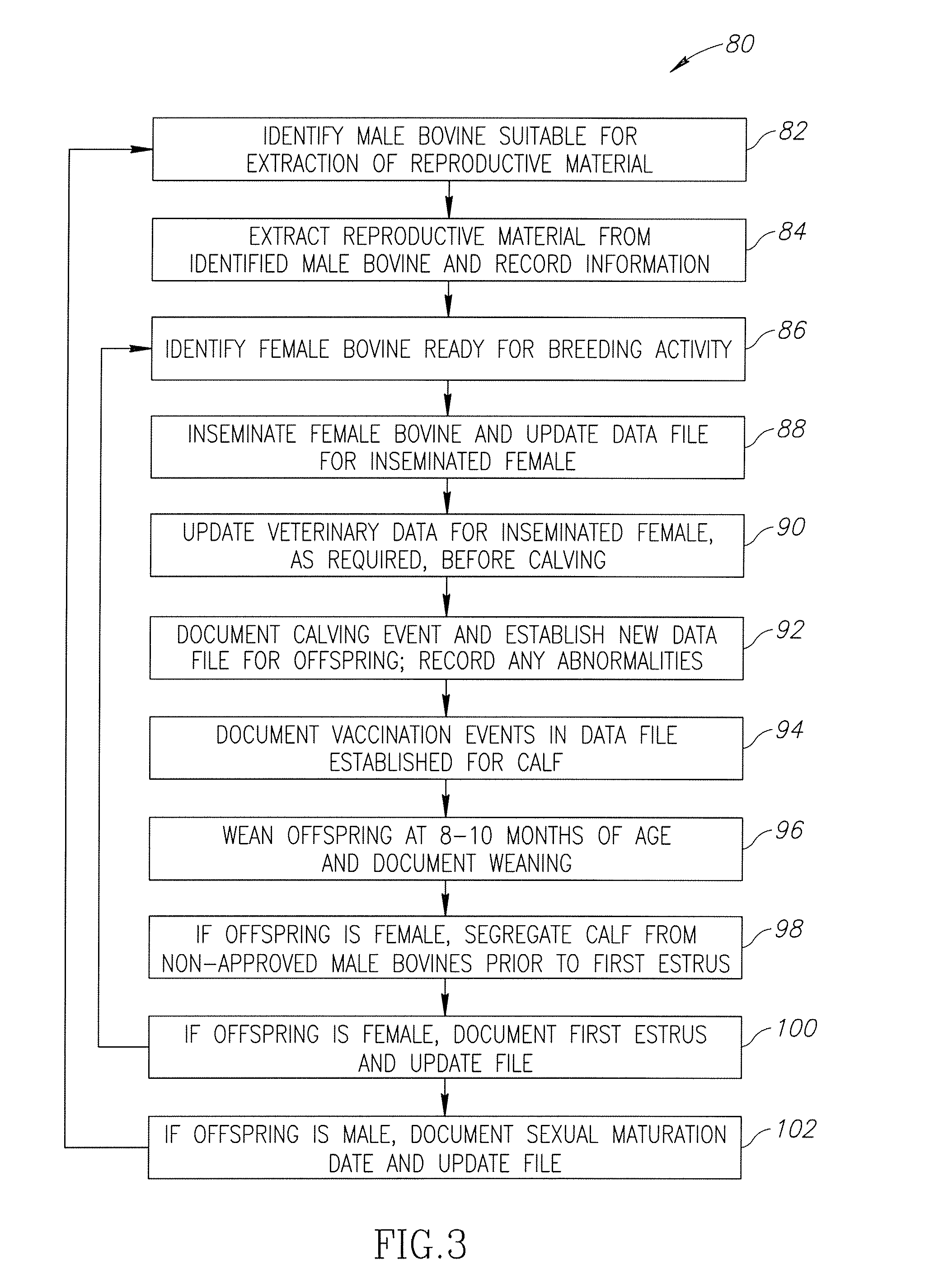 Method and system for producing beef consistently having an elevated intramuscular fat content