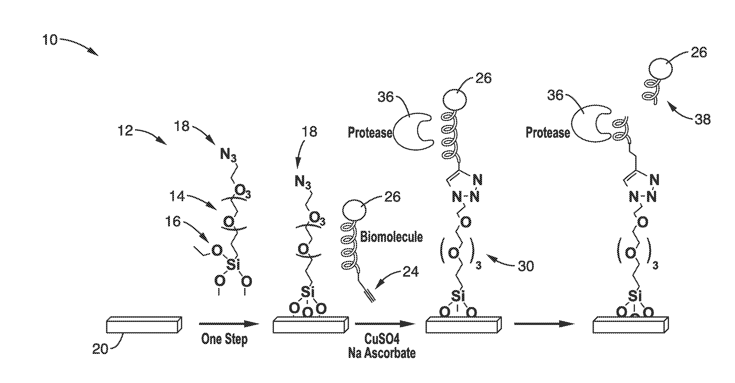 Bioconjugation using bifunctional linkers