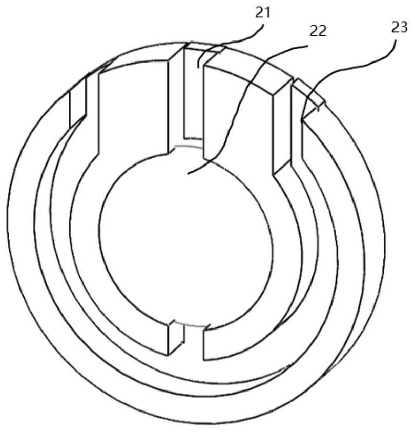 Saliva collecting and imaging device