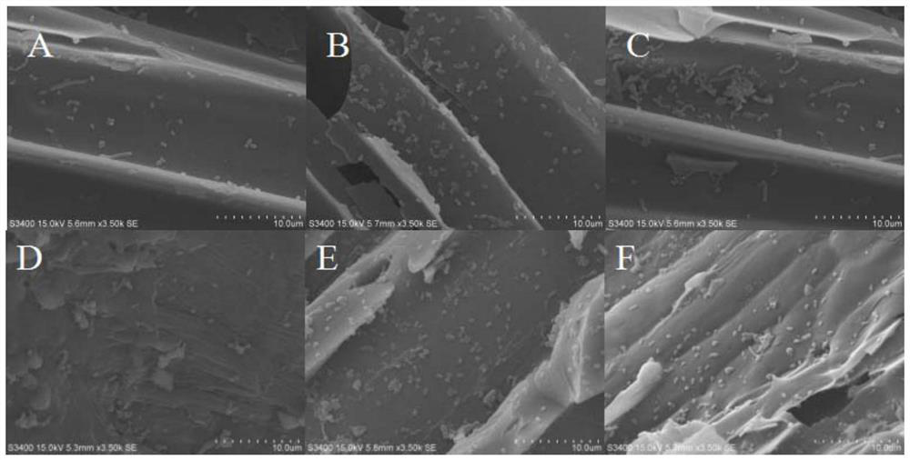 Biochar-based immobilized polycyclic aromatic hydrocarbons high-efficiency degradation bacterial agent and its preparation method and application